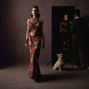 Archive Collector's Edition (Isabel)