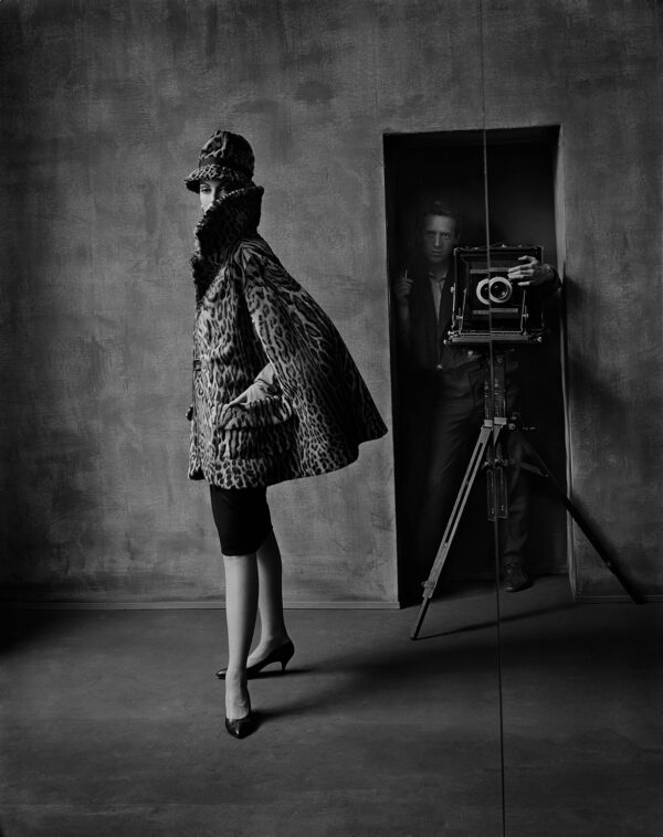 Archive Collector's Edition (Carmen)